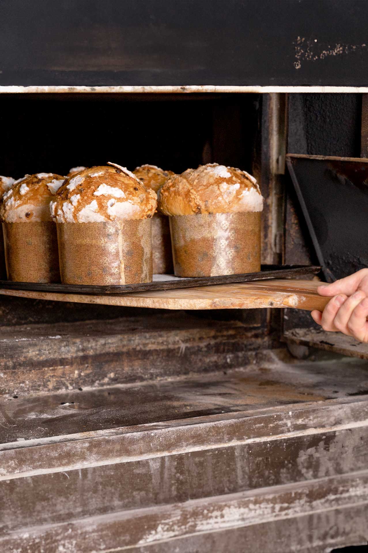 Preparazione del panettone